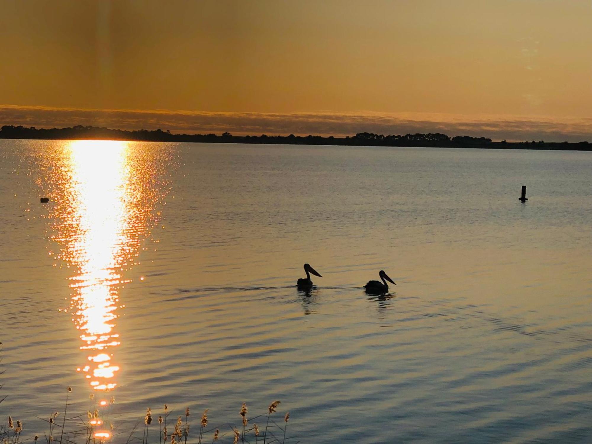 Lake Boga Caravan Park Kültér fotó